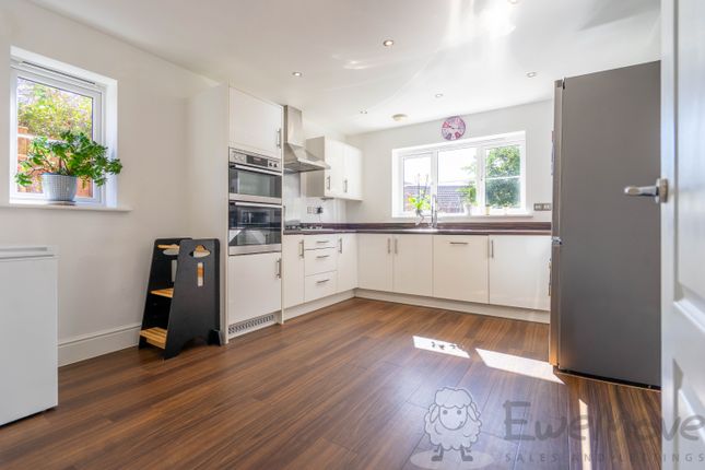 17, Blazey Drive, Wymondham photo 4