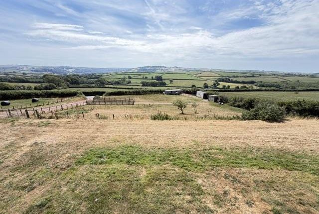 Nantygoetre Isaf, Ferryside, Carmarthen photo 4