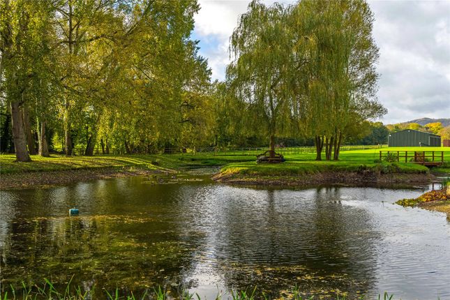 Bungalow to rent in Blackmore Park, Hanley Swan, Worcester