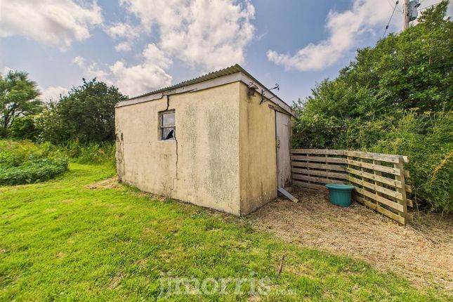 Log Shed