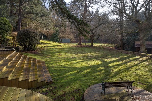 Grounds