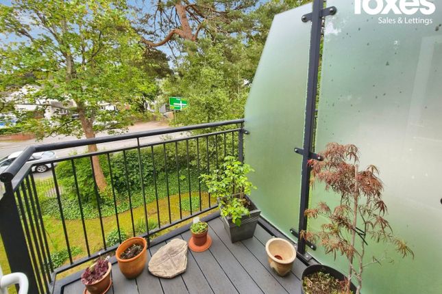 42 Cherrett Court, 557 Ringwood Road, Dorset photo 4