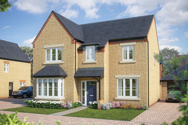 Thumbnail Detached house for sale in "The Birch" at Turnberry Lane, Collingtree, Northampton
