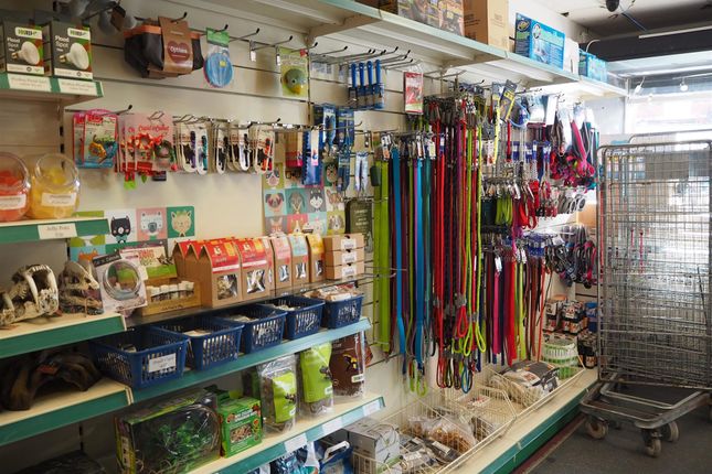 Thumbnail Retail premises for sale in Pets, Supplies &amp; Services HU8, East Yorkshire