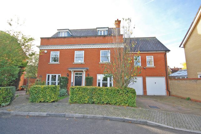Thumbnail Detached house for sale in Chestnut Avenue, Great Notley, Braintree