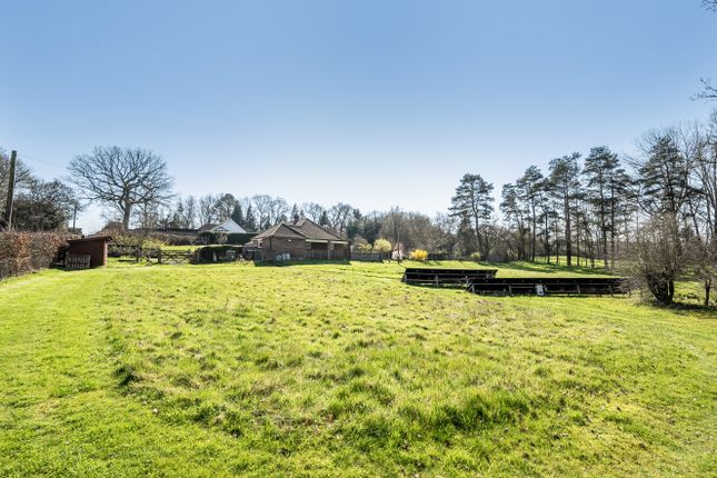 Davos, Blacknest Road, Alton photo 3