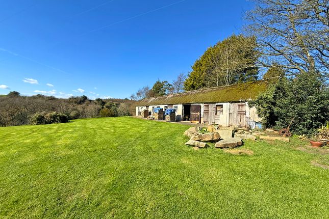 The Paddock, Hood Lane, Scarborough photo 4