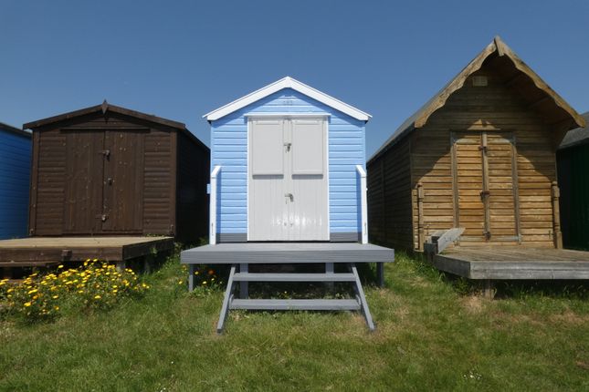 Beach Hut 483, Victoria Esplanade, West Mersea photo 5