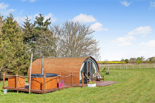 Glamping