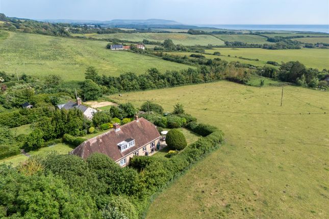 4, Mottistone Green Cottages, Mottistone photo 2