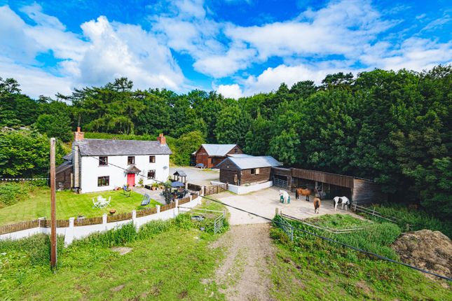 Highly Desirable Smallholding Property