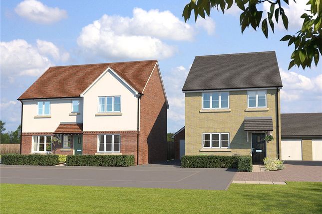 Thumbnail Detached house for sale in Dimmock Road, Waterbeach, Cambridge
