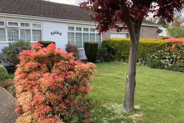 23, St Austell Road, Colchester photo 2