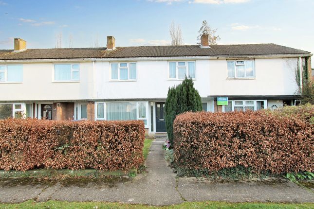 Thumbnail Terraced house to rent in Haseldine Meadows, Hatfield