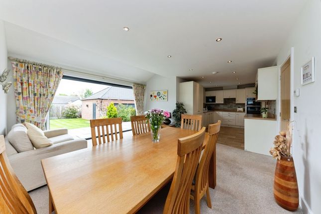 8, Buttercup Lane, Louth photo 4