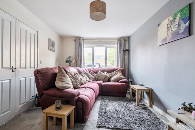 Avocet Rise, Sprowston photo 4