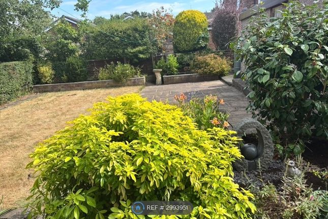 Meadow Lane, Fearnhead, Warrington photo 5