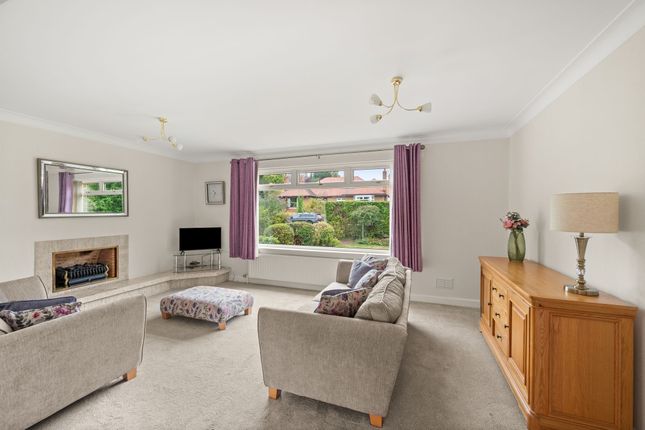 20 Albert Road, Dundee photo 4