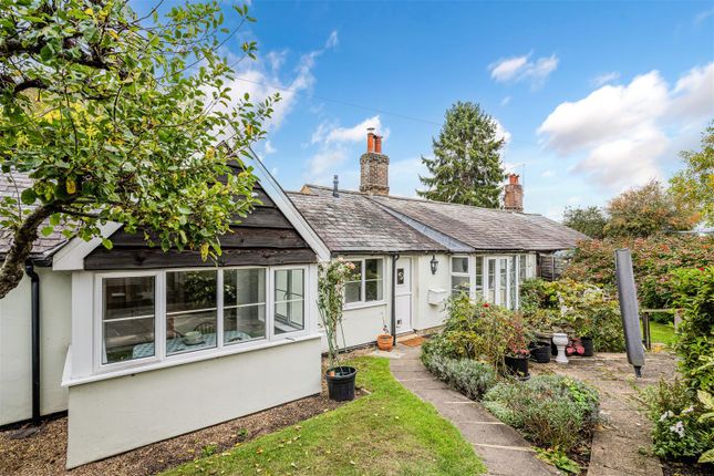 Bracken Path (1).Jpg