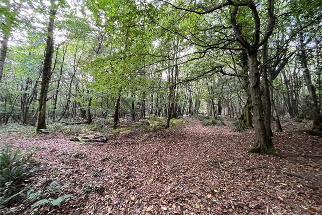 Land for sale in Tree Tops, Wilderness Lane, Hadlow Down, Uckfield