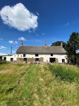 Thumbnail Detached house to rent in Bondleigh, North Tawton