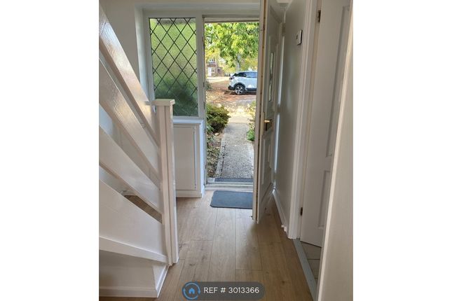 Tavistock Close, Romsey photo 4