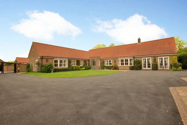 Thumbnail Detached bungalow for sale in Church Green, Beverley