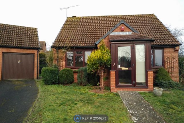 Thumbnail Bungalow to rent in Parsley Close, Reading