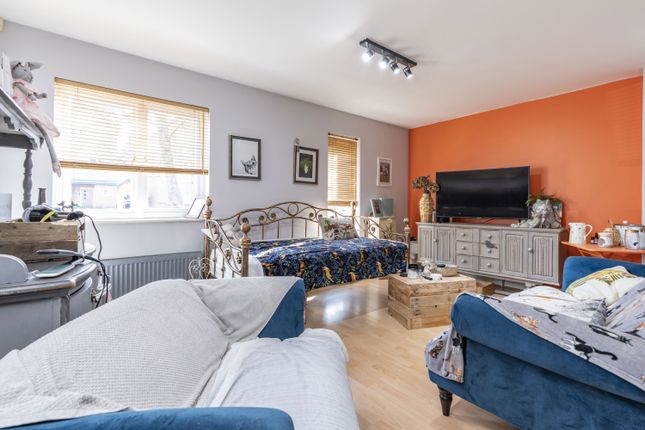 Open Plan Living Room And Kitchen
