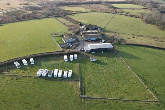 Fairwood Corner Farm, Fairwood, Swansea photo 4