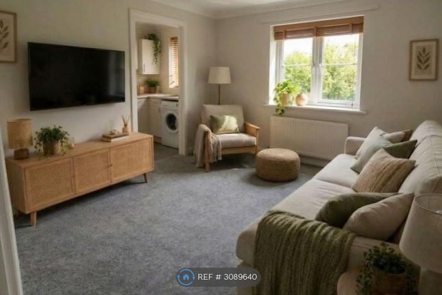 1 Bedroom Flat