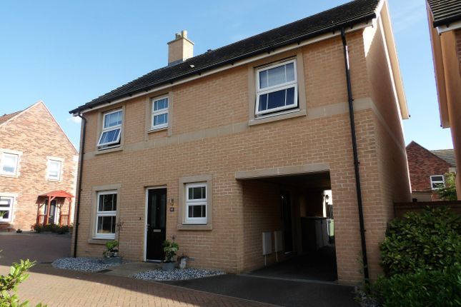 Thumbnail Detached house to rent in Bluebell Close, Downham Market