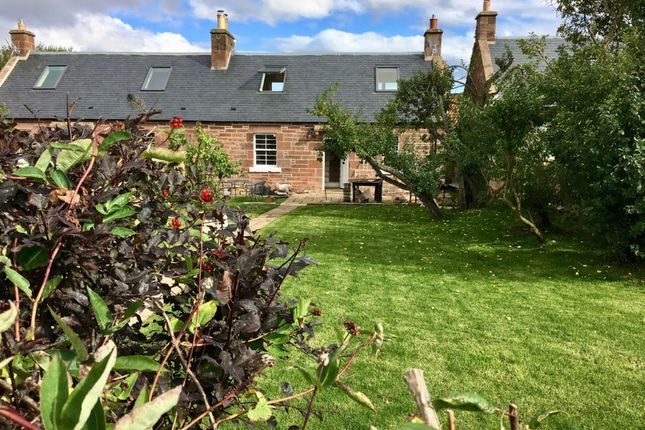 Thumbnail Cottage to rent in Whittingehamme Mains, Haddington, East Lothian
