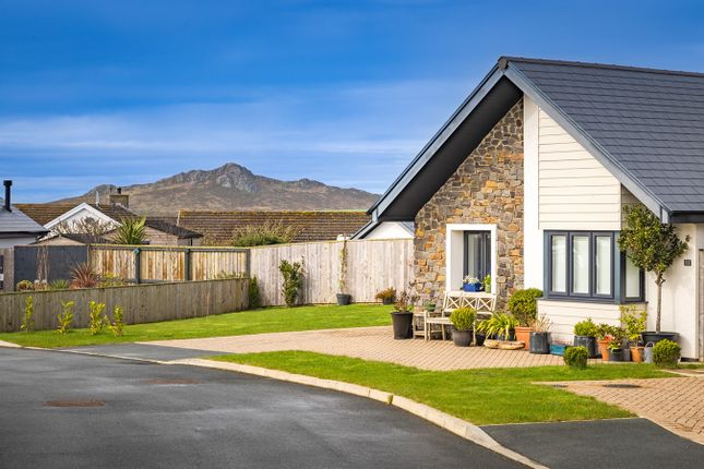 Thumbnail Detached bungalow for sale in Bishops Court, St Davids