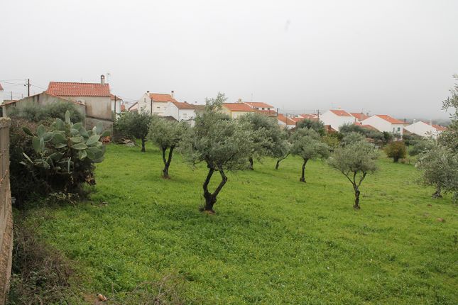 Land for sale in Idanha-A-Nova, Idanha-A-Nova, Castelo Branco, Central Portugal