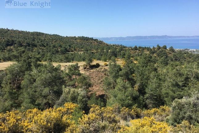 Land for sale in Agia Marina Chrysochous, Cyprus