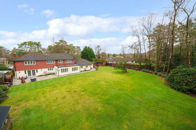 Thumbnail Detached house for sale in Kingswood Firs, Hindhead