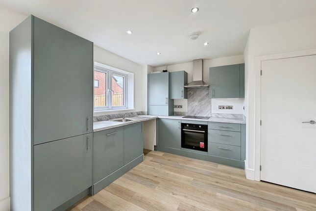 P41 - (Newton House Type), 50 Shoreham Drive, Amble photo 3