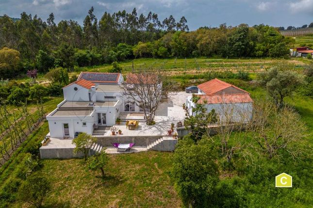 Thumbnail Detached house for sale in Alcobaça, Leiria, Portugal