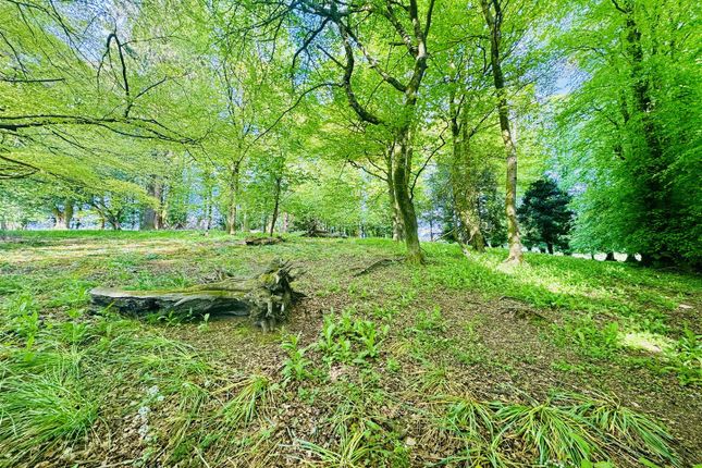 Gelli Farmhouse, Crynant, Neath photo 4