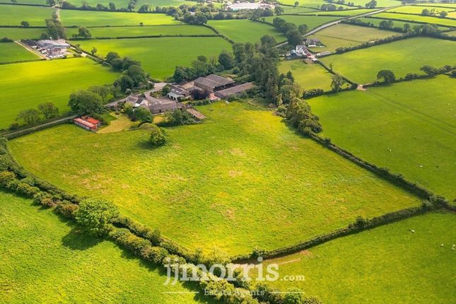 Blaengafren, Crymych photo 2