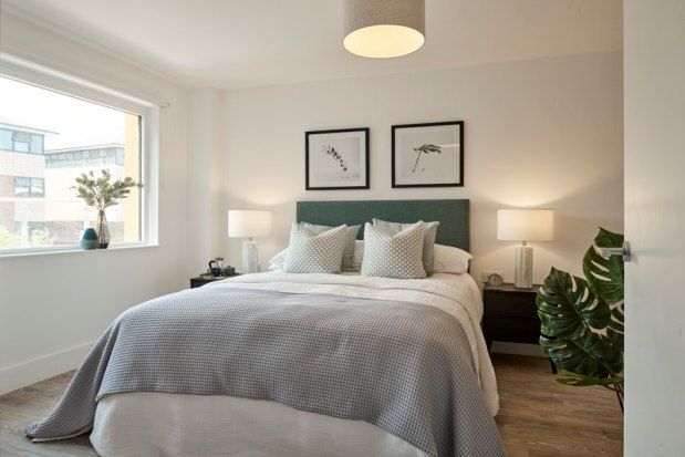 1 Bedroom Flats To Let In Sheffield Primelocation