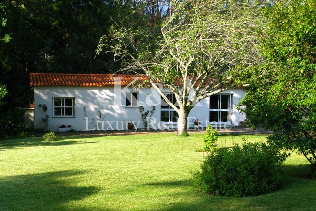 Farm for sale in Vila Praia De Âncora, Vila Praia De Âncora, Caminha