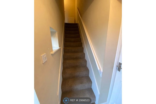 Village Heights, Gateshead photo 4