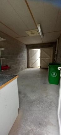 20250814_095511.Jpg