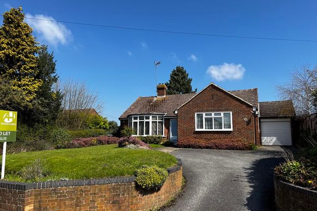Detached bungalow to rent in Old Dover Road, Canterbury