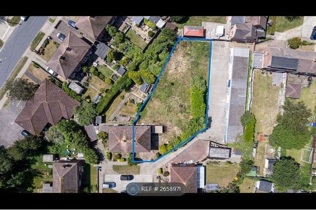 Garden Within Blue Lines