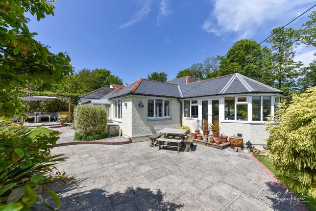 Thumbnail Detached bungalow for sale in Ashknowle Lane, Whitwell, Ventnor