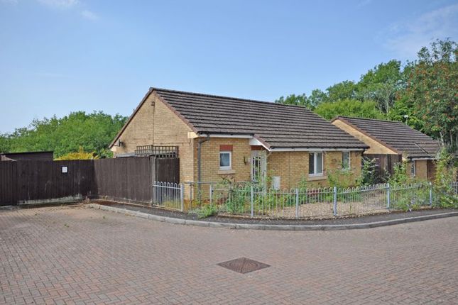 3, Drinkwater Rise, Newport photo 3
