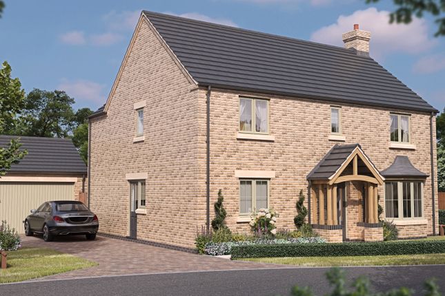 Plot 9 Image Revised